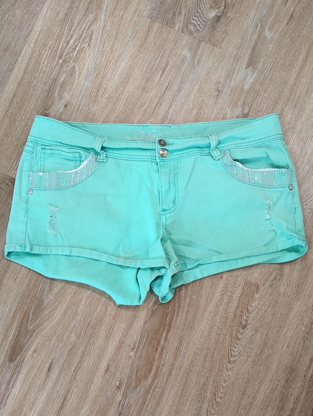 😎🔥💚🩵Vanity Women's Light teal Shorts size 33 😎❤️⭐🔥💚🩵